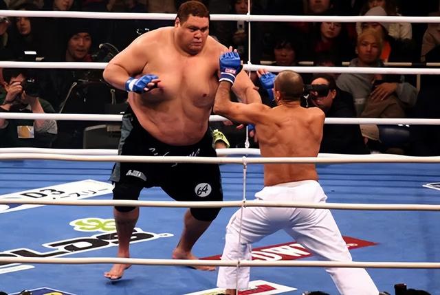 突发！世界最重拳手去世！相扑手果然不长命？