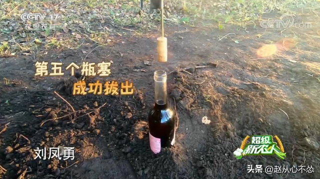 高手在民间！黑龙江大爷发明甜菜收获机，一台机器可代替20人干活