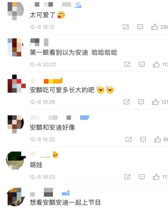 黄圣依晒小儿子安麟，眉眼似她翻版，小腹隆起被疑怀三胎？