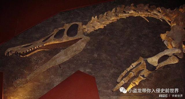 《侏罗纪世界2》里新出现的这种恐龙你认识吗?