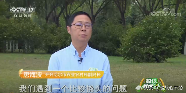 高手在民间！黑龙江大爷发明甜菜收获机，一台机器可代替20人干活