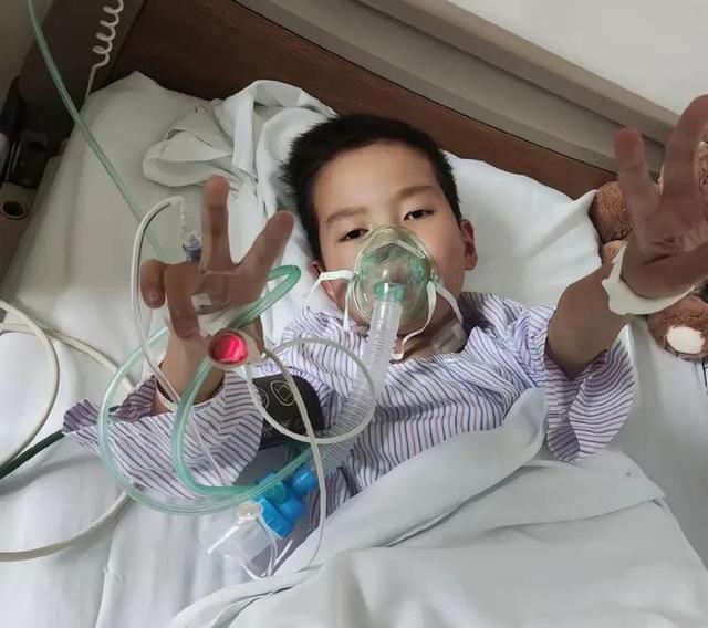 林静爆红涨粉50万，那个把她赶出家门的婆婆，肠子可能都要悔青了