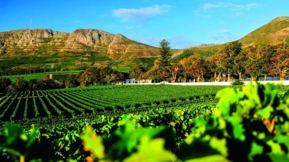 【社会人文】刘伟才：荷属开普殖民地的发展｜中国投资