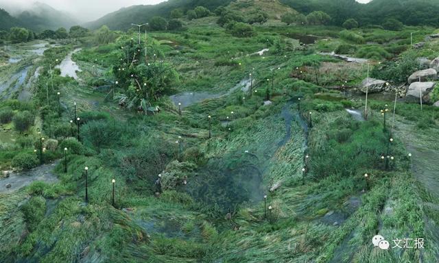 小文福利社｜9月好去处，影像上海艺术博览会来了！