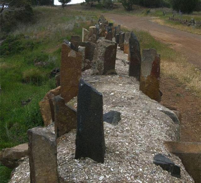 最后一名纯种塔斯马尼亚女子遗言：别解剖、别展览我，但未能如愿