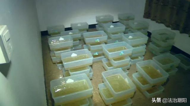 中国制毒第一村剿灭记