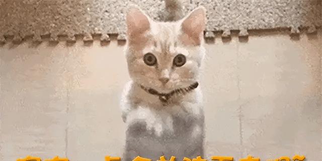 25岁被琼瑶捧红，为245万“出卖身体”，恋爱7天和丑男闪婚