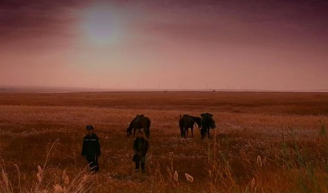 破8亿播放量!秦昊这8集警匪神剧,再来100集都不嫌多