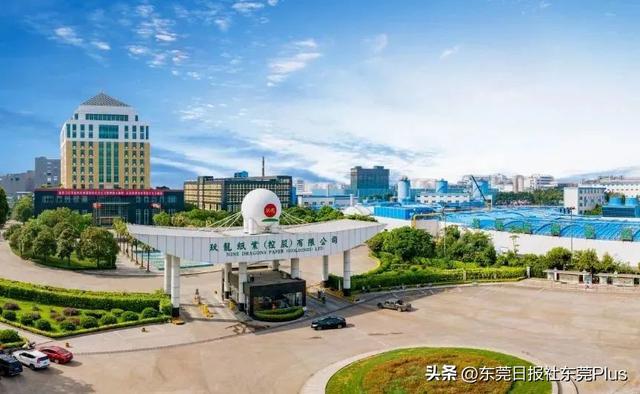 最新榜单公布!东莞首富是TA→