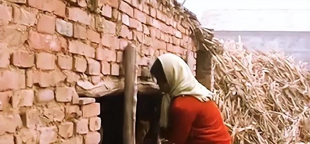 山东懒汉4000元买17岁云南老婆,被问到为什么不跑 :我已经认命了