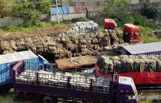 中国制毒第一村剿灭记