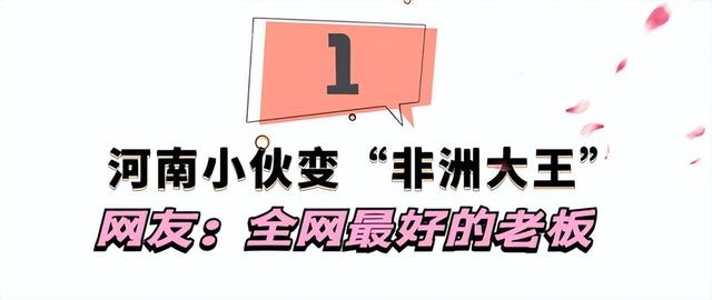 hello先生：小伙海外6年变“非洲大王”，却因卢克事件被迫离开？