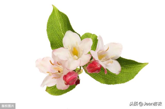 《面子》:隐忍之后的爱,最动情