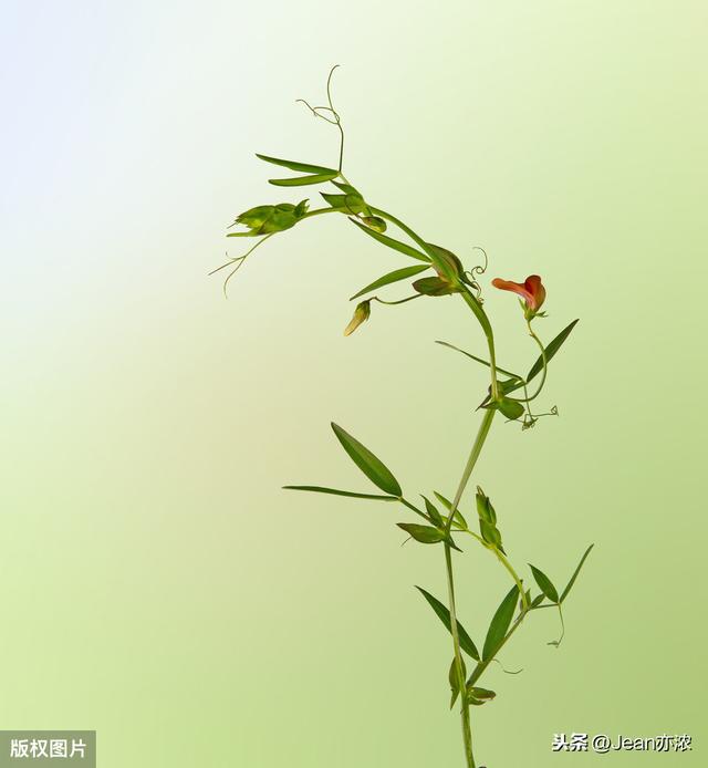 《面子》:隐忍之后的爱,最动情