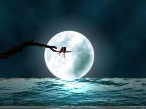 看见月亮想起初恋，一轮清辉寄托几多爱与缠绵