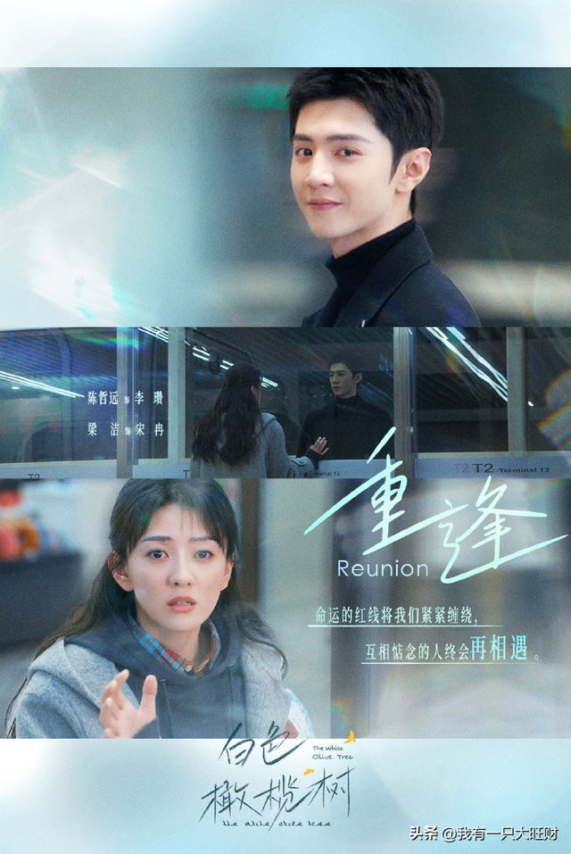 《白色橄榄树》相遇便是救赎，李瓒和宋冉的结局，远比BE悲惨得多