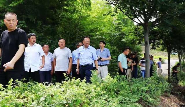 扬州世园会,塑造“苏茶”新风采——业界专家聚焦仪征枣林湾纵论“茶旅”融合,8条专题精品线路呼之欲出