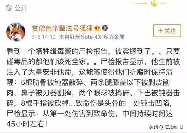 中国制毒第一村剿灭记