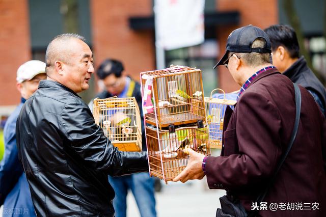 俗语：“家富不养‘老相好’，家贫不挨‘青笛嫂’”，是啥意思？