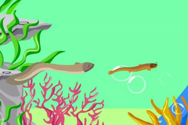 为什么说“蛇吃黄鳝是找死”?如果蛇吃了黄鳝,真的会死吗?