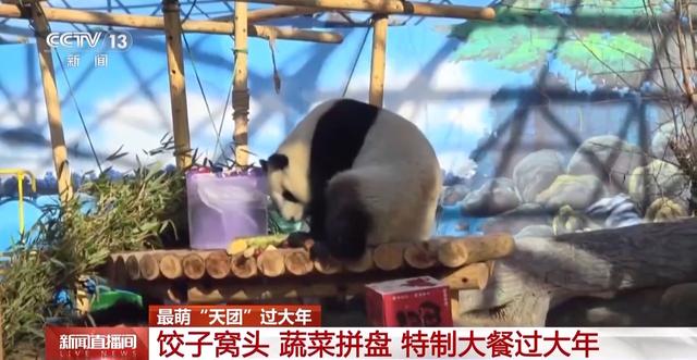 最萌“天团”欢喜过大年 请查收这份福气满满的新年祝福