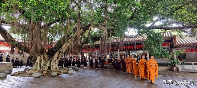 北少林在河南,南少林在福建却有两处,泉州和莆田谁才是最正统?