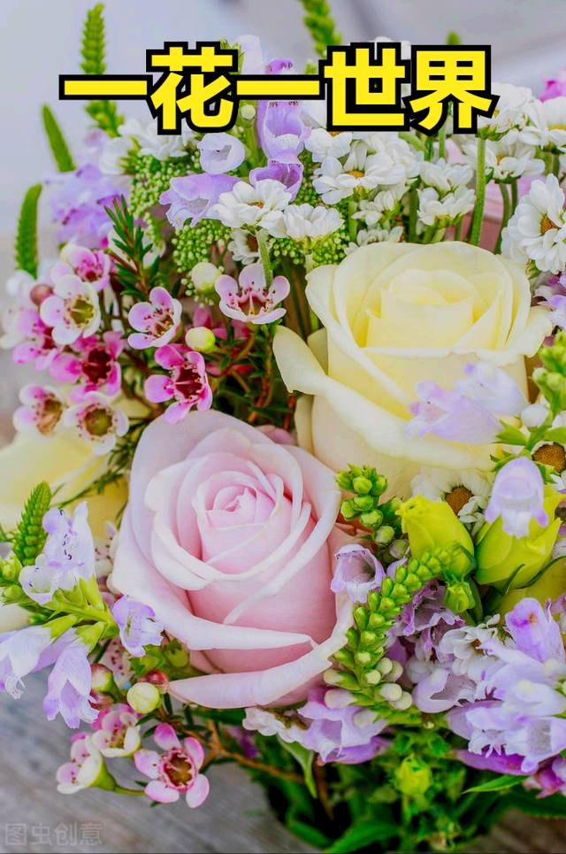 一花一叶最深情,万千春光花满园,花开惊艳时光,花香温柔岁月