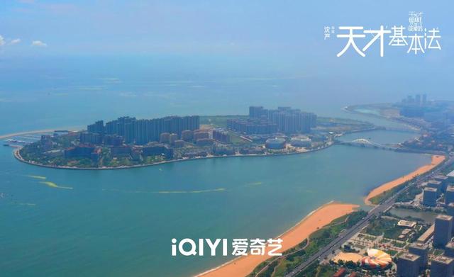 一座城成全一部剧！全程在青岛取景拍摄的《天才基本法》热播，城市与剧集的双向赋能
