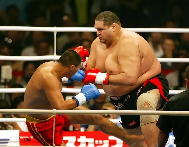 突发！世界最重拳手去世！相扑手果然不长命？