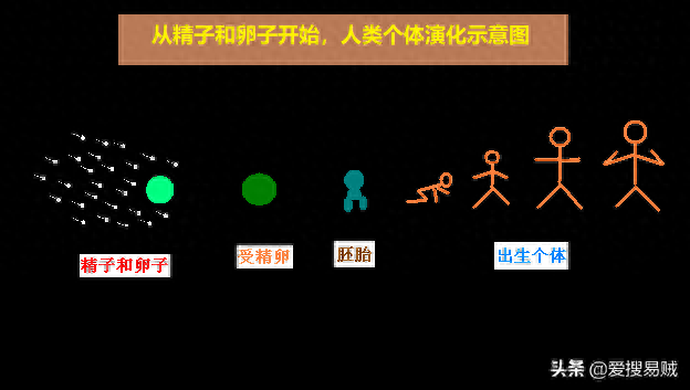 天体、地体、人体,三体演化之谜