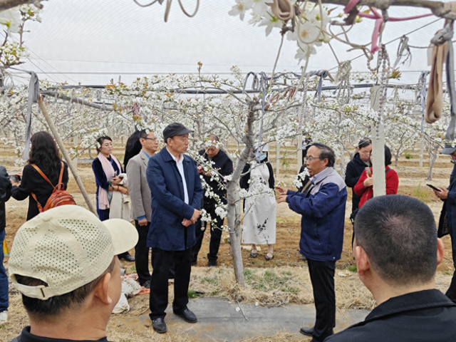 走进大美云山，诗赋乡村振兴