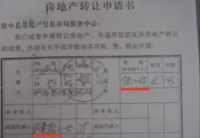 她是身价千万的女强人,无儿无女,晚年资产被保姆转移,落魄无助