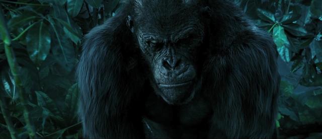 人猿泰山登陆中国，人猿大战燃爆眼球，太刺激