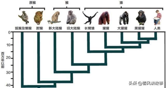 苏联科学家灭绝人性的实验：试图使“人猿杂交”，过程有多残忍？