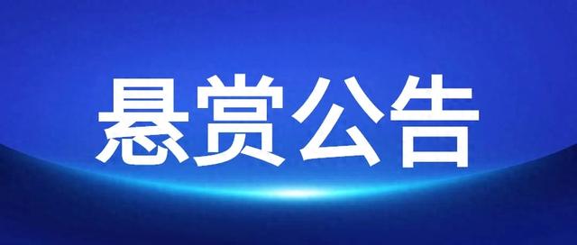 悬赏公告｜新城区法院执行悬赏公告（2025年第4期）