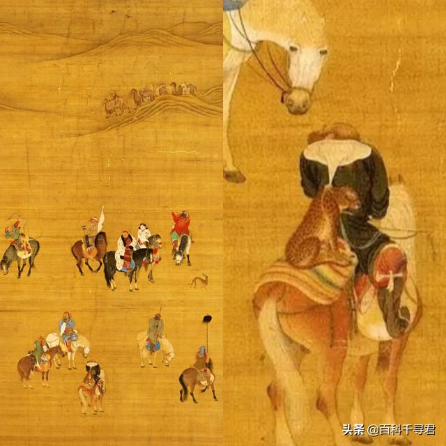 跑得再快也逃不过灭绝的威胁，浅谈“短跑之王”猎豹的历史与现状