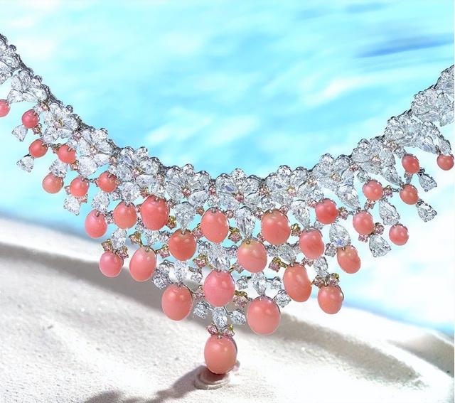 广州查获巨型女王凤凰螺，内藏珍珠曾卖2400万，至今不能人工养殖