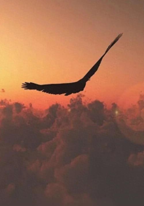 宗伟：追求真正的自由