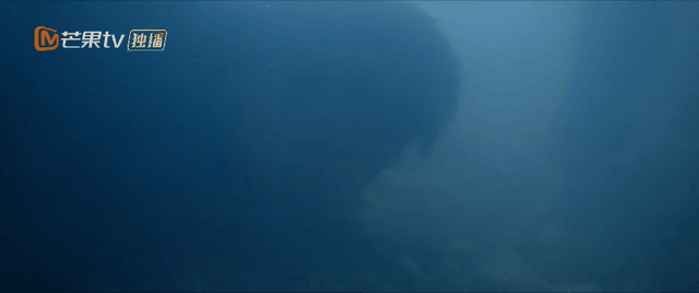 破8亿播放量!秦昊这8集警匪神剧,再来100集都不嫌多