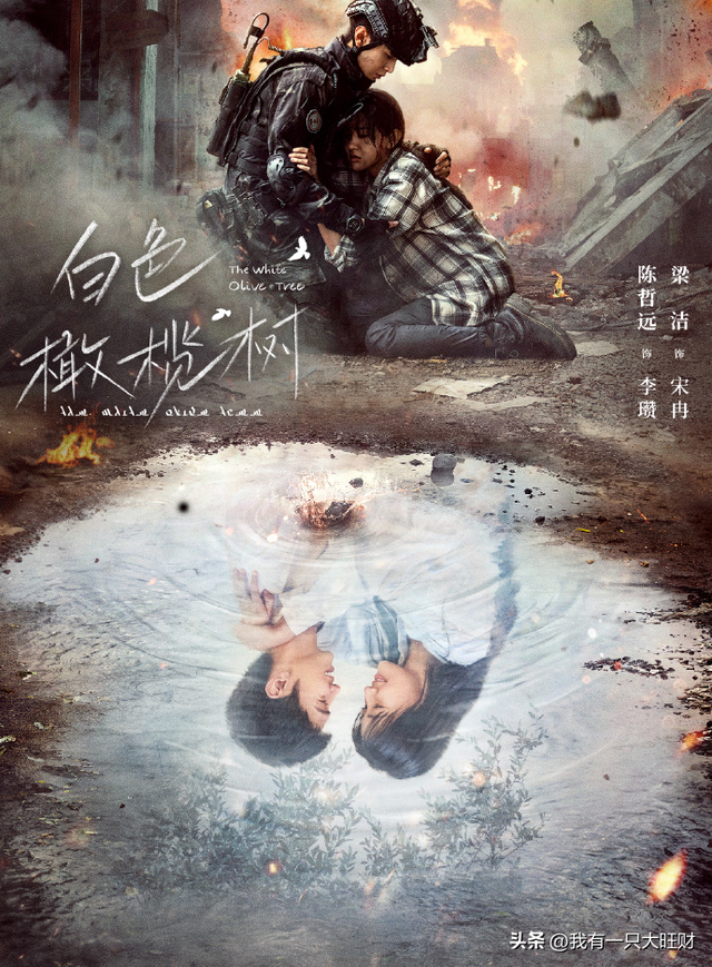 《白色橄榄树》相遇便是救赎，李瓒和宋冉的结局，远比BE悲惨得多