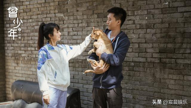 2023年已完结的五部高分爱情剧，最后一部演的真是不狗血的青春