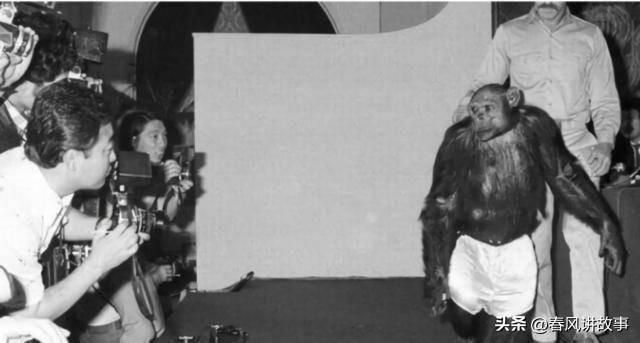 苏联科学家灭绝人性的实验：试图使“人猿杂交”，过程有多残忍？