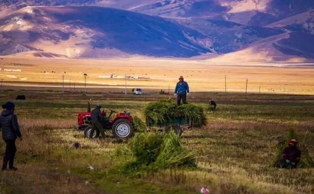 扼住印度“七寸”!仅有1.5万人的亚东县,对我国到底有多重要?