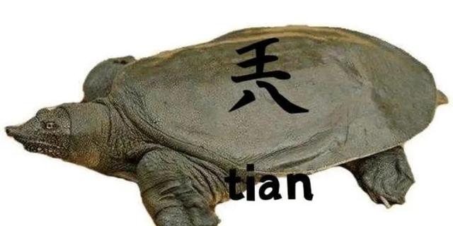 “兲”，这是个什么字？王+八=兲，怎么读？可不能读成王八