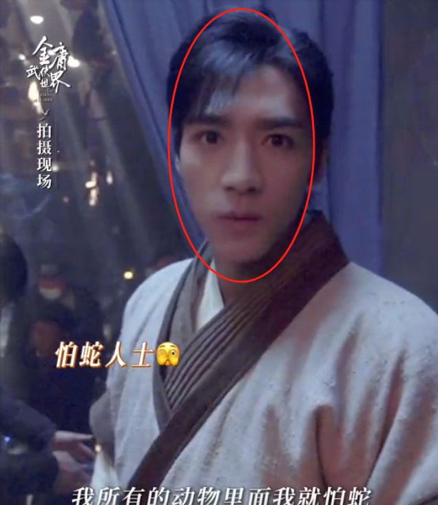 一张芒果脸就毁掉整部剧《铁血丹心》彻底崩了观众期望