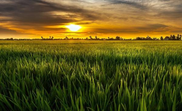 深情不及久伴,厚爱无需多言