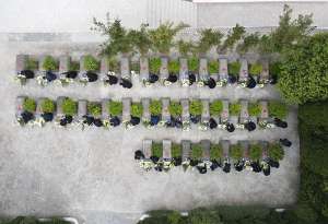 李艾伦(镜头｜清明祭英烈)