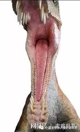 《侏罗纪世界2》里新出现的这种恐龙你认识吗?