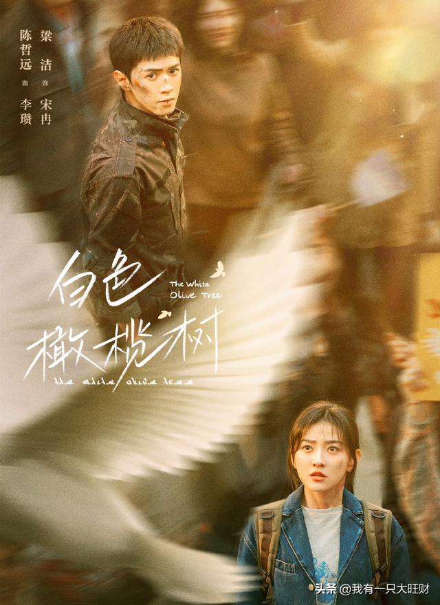 《白色橄榄树》相遇便是救赎，李瓒和宋冉的结局，远比BE悲惨得多