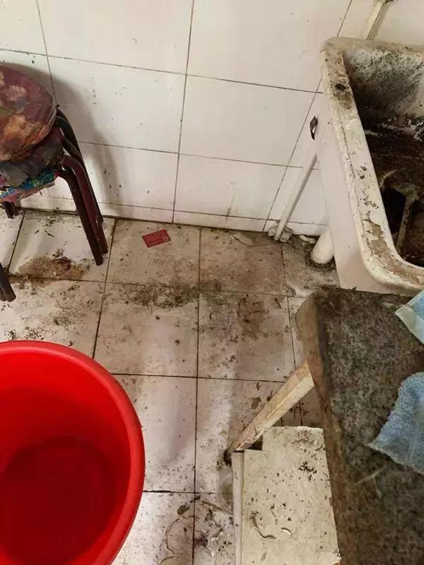 房东要气疯！网友：受惊吓，词穷到无法描述